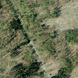 Satellite imagery of Schaumburger Wald, DE