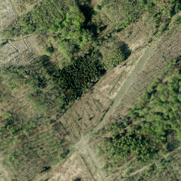 Satellite imagery of Schaumburger Wald, DE