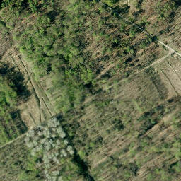Satellite imagery of Schaumburger Wald, DE