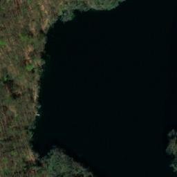 Satelita
