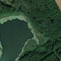 Satelita