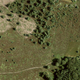 Satellite imagery of survey_point, NL