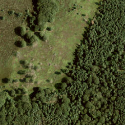 Satellite imagery of survey_point, NL