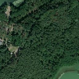 Satelita