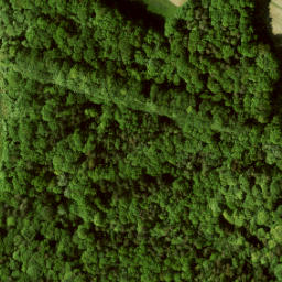 Satellite imagery of Steen nabij de Tichelweg, NL