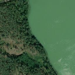 Satelita