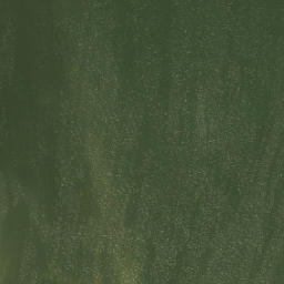 Satellite imagery of Zeewolderhoek, NL