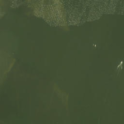 Satellite imagery of Zeewolderhoek, NL