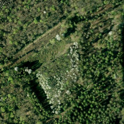 Satellite imagery of Strutzberg, DE