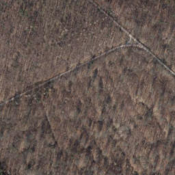 Satellite imagery of Steinberg, DE