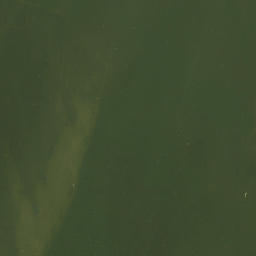 Satellite imagery of Zeewolderhoek, NL