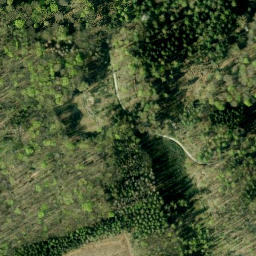 Satellite imagery of Strutzberg, DE