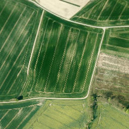 Satellite imagery of Alter Rodenberg, DE