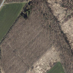 Satellite imagery of Steinberg, DE