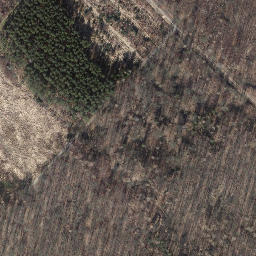 Satellite imagery of Steinberg, DE