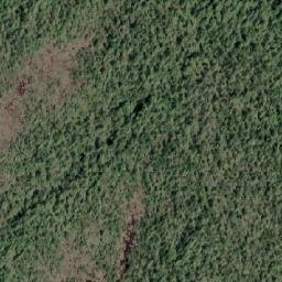 Satellite imagery of Bird Point, CA