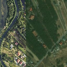 Satelita