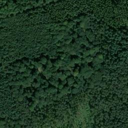 Satellite imagery of Bisdorfberg, DE