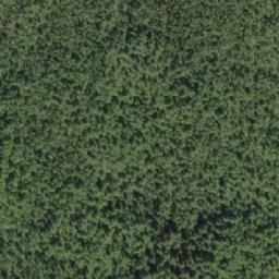 Satellite imagery of McArthur Point, CA
