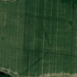 Satellite imagery of Finningham Cromwells Plantation, GB
