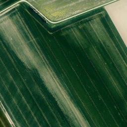 Satellite imagery of Kniggenberg, DE
