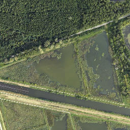 Satelita