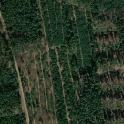 Satellite imagery of Dachsberg, DE