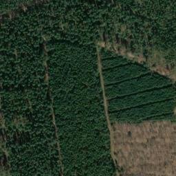 Satellite imagery of Dachsberg, DE