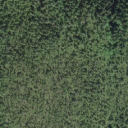 Satellite imagery of Donald Point, CA