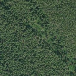 Satellite imagery of Borg Point, CA