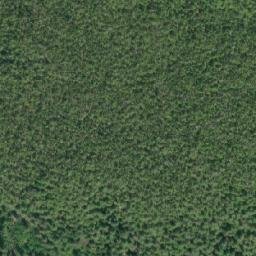 Satellite imagery of Borg Point, CA