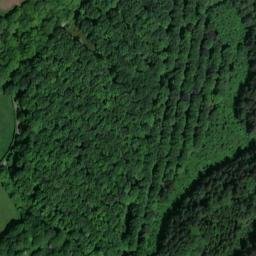 Satellite imagery of Witley Court, GB