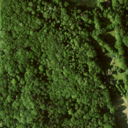Satellite imagery of Steen in het Minnebroek, NL