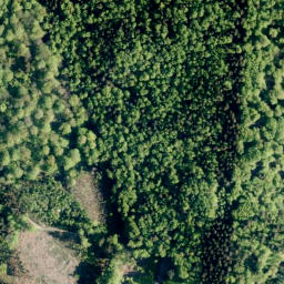Satellite imagery of Großer Karl, DE