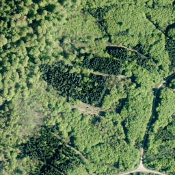Satellite imagery of Großer Karl, DE