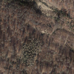Satellite imagery of Fuchsberg, DE