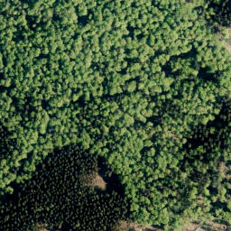 Satellite imagery of Großer Karl, DE