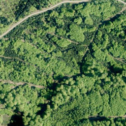 Satellite imagery of Großer Karl, DE