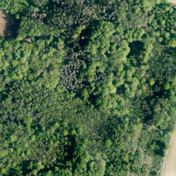 Satellite imagery of Große Riesen, DE