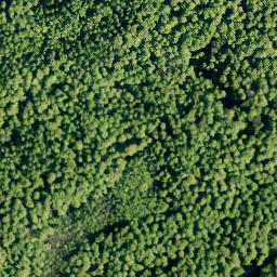Satellite imagery of Fernmeldeturm Barsinghausen, DE
