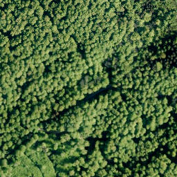Satellite imagery of Fernmeldeturm Barsinghausen, DE