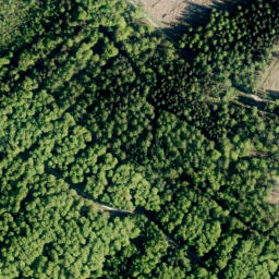 Satellite imagery of Fernmeldeturm Barsinghausen, DE