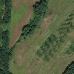 Satellite imagery of Hopfengarten, DE