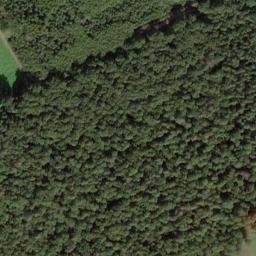 Satelita