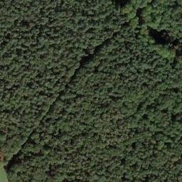 Satelita