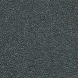 Satellite imagery of Borg Point, CA
