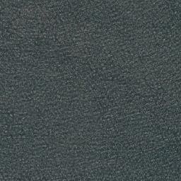 Satellite imagery of Borg Point, CA