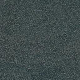 Satellite imagery of Borg Point, CA