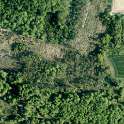 Satellite imagery of Große Riesen, DE