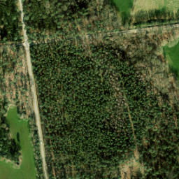 Satellite imagery of Twickel, NL